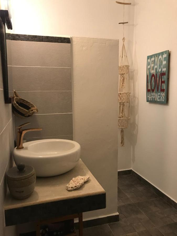 Les Aloès By Creyol Animal *